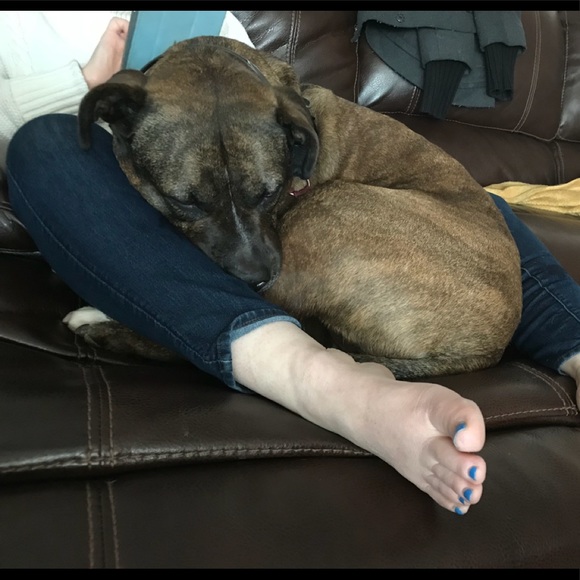 Meet your Posher, Tony - Picture 1 of 1